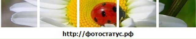 Сергій Паляниця фотография #17 (источник - https://vk.com/id92246395)