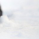 Юлія Онищенко фотография #6 (источник - https://vk.com/id99341648)