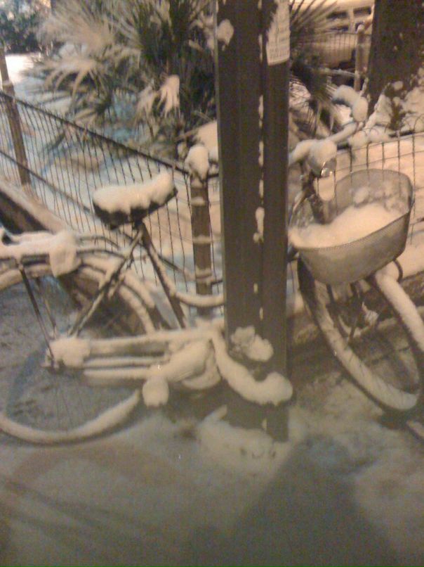 Алла Почтарь фотография #15