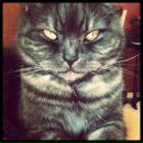 Nata Li фотография #11 (источник - https://vk.com/id751838)