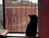 Фотография Бут Ольги