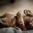 Діма Сень фотография #21 (источник - https://vk.com/id145533996)