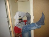 Фотография Каменских Александра