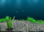 Віталік Бідочко фотография #20 (источник - https://vk.com/id103179026)