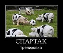 Марія Науменко фотография #14 (источник - https://vk.com/id158319272)