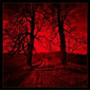 Фотография Сокола Димы