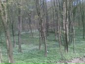 Василь Федянін фотография #17 (источник - https://vk.com/id10823318)