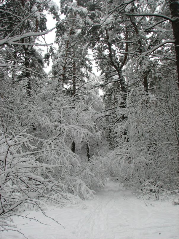 Виктор Долина фотография #46