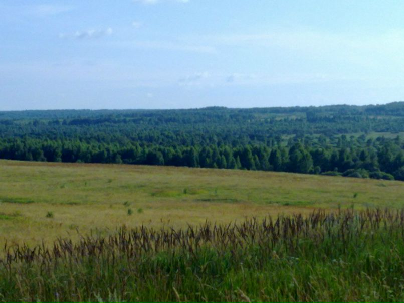 Виктор Мищенков фотография #23