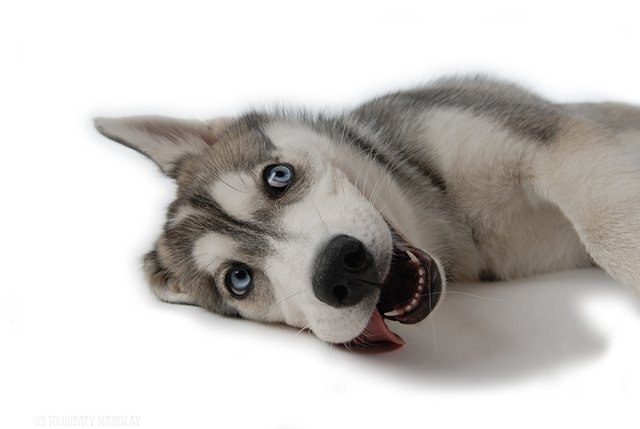 Марсель Валеев фотография #6