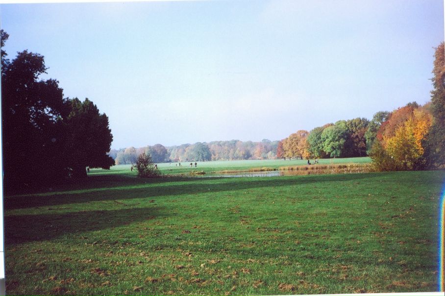 Не Очень фото №25