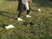 Олег Пасічник фотография #32 (источник - https://vk.com/id53254187)