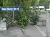 Дмитрий Брагин фотография #8 (источник - https://vk.com/id16422932)