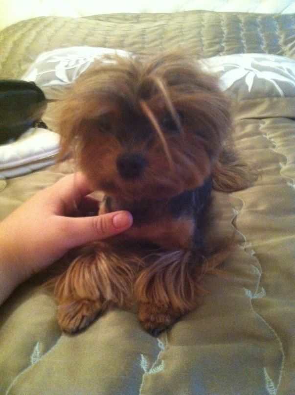 Софья Юдина фотография #49