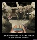 Танічка Малюк фотография #34 (источник - https://vk.com/id132361394)