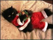 Надія Пилипів фотография #28 (источник - https://vk.com/id131631088)