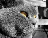 Іван Васильєв фотография #1