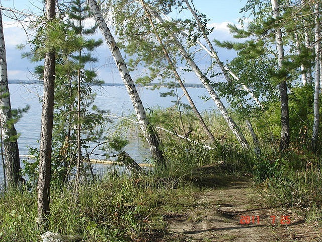 Роман Соломинский фотография #40