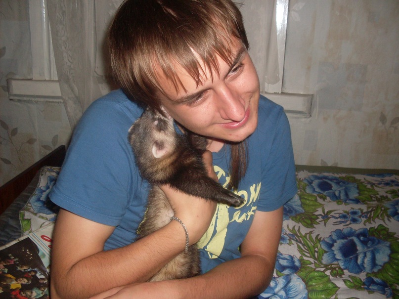 Степашка Растеряшка фотография #29