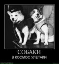 Андрій Філевський фотография #18 (источник - https://vk.com/id8253747)
