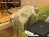 Алина Медкова фотография #17 (источник - https://vk.com/id419266051)