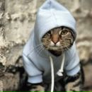 Фотография Пономарева Вадима