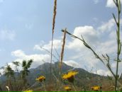 Фотография Мироновой Юлии