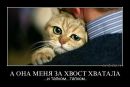 Андрій Мазур фотография #30 (источник - https://vk.com/id63881327)