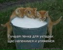 Андрій Мазур фотография #23 (источник - https://vk.com/id63881327)