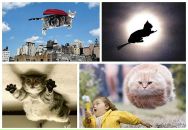 Фотография Веденяпиной Надежды