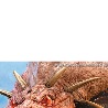Вася Микулін фотография #16 (источник - https://vk.com/id98939661)