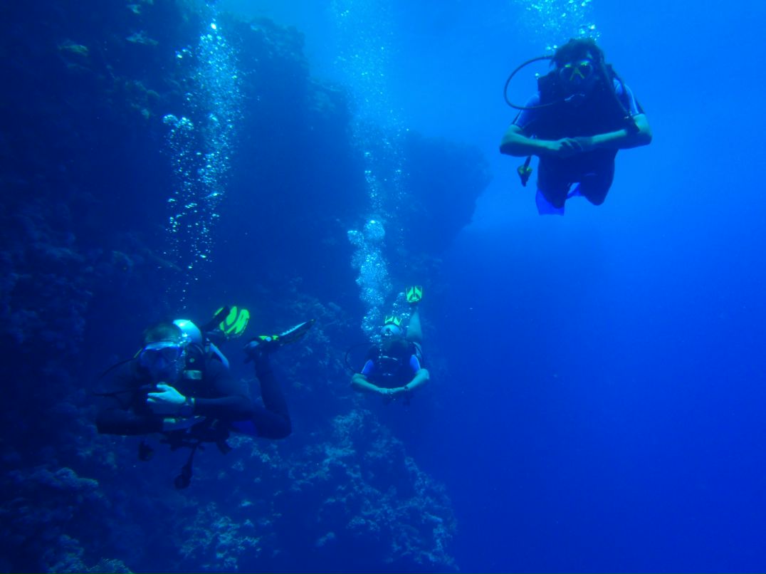 Vit Mi фотография #29