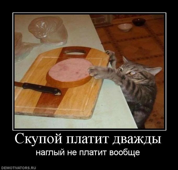 Сергей Шарпило фотография #2