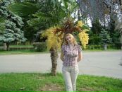 Світлана Яхнів фотография #19 (источник - https://vk.com/id68073106)