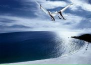 Фотография Анохиной Светланы