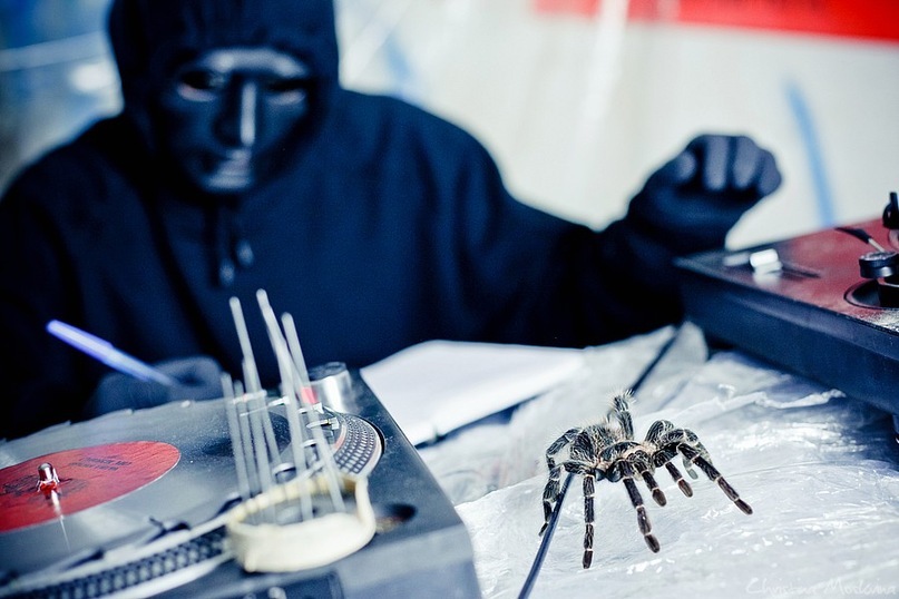 Ruslan Kuznetsov фотография #32