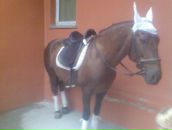 Фотография Рассказовой Людмилы