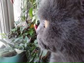 Фотография Волковой Оли