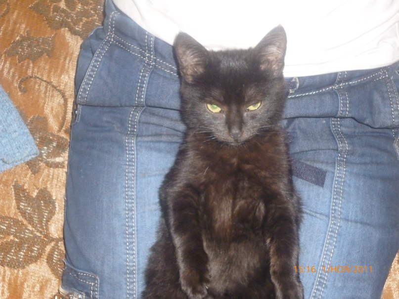 Илья Мальков фотография #29