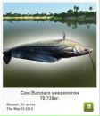 Сєрий Матвійшин фотография #11 (источник - https://vk.com/id111466338)