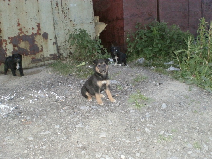 Саша Шляхов фотография #20