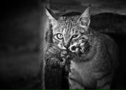 Фотография Камаловой Эльвиры