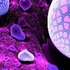Дашуся Сергеєва фотография #19 (источник - https://vk.com/id140363675)