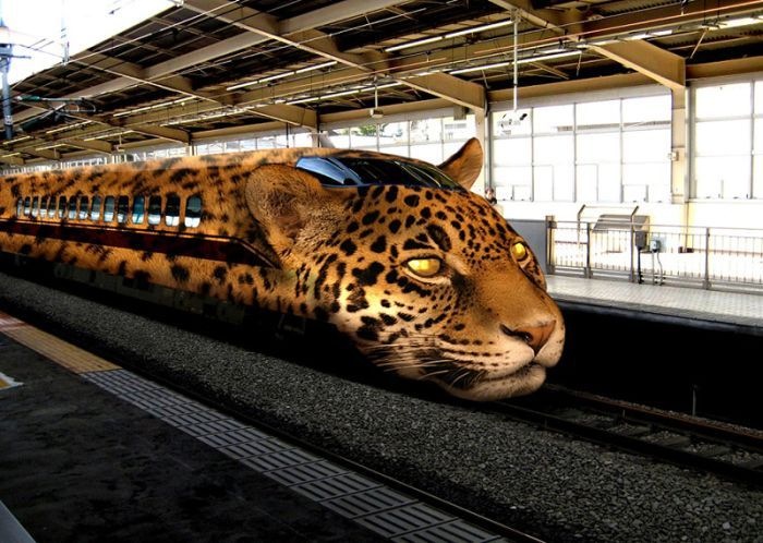 Фарид Гайсин фотография #43