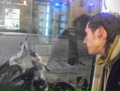 Фотография Деримарко Руслана