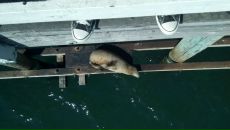 Дмитрий Ильевский фотография #2 (источник - https://vk.com/id37783)