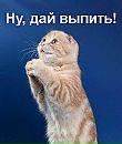 Сергійко Ляхович фотография #2 (источник - https://vk.com/id161515600)