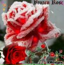 Фотография Чеховы Татьяны