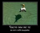 Богдан Янічко фотография #28 (источник - https://vk.com/id26134723)