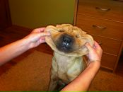 Фотография Новгородского Вячеслава